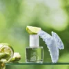 AnillO Lime Sunday Refresh Hair Essence – plaukų esencija, 50 ml