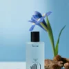 AnillO Shower Time Parfum Mist – parfumuota kūno dulksna, 100 ml
